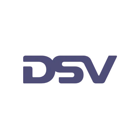 DSV Logo